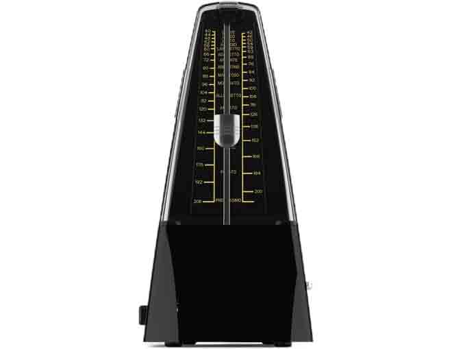 ���ֽ�����